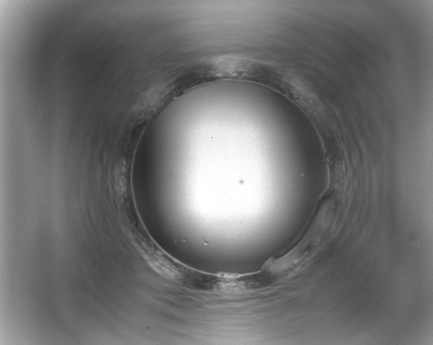 X0000067340413200604031004
