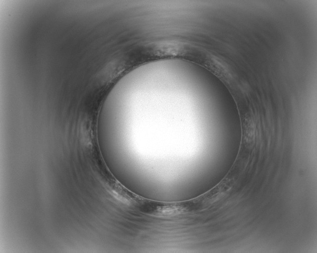X0000067340414200604031004