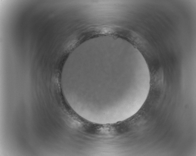 X0000067340415200604031004