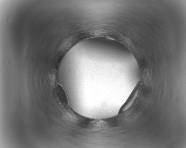 X0000067340427200604031004