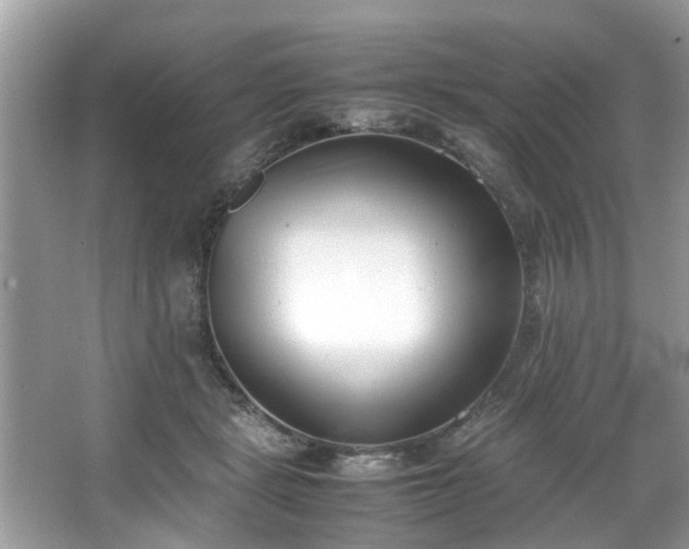 X0000067340461200604031003