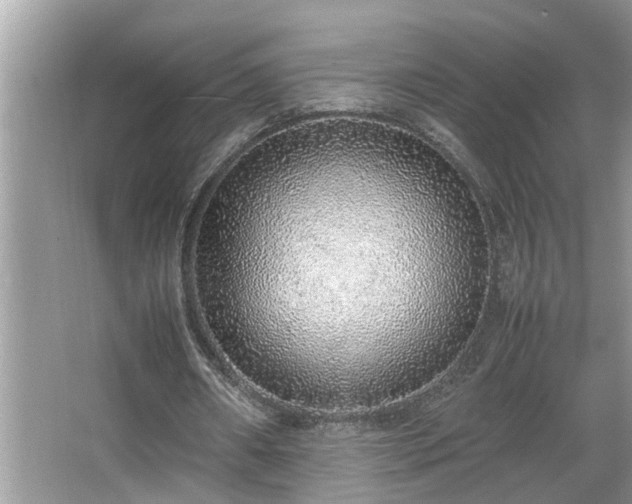 X0000067340482200604031003