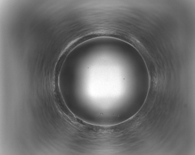 X0000067340484200604031003