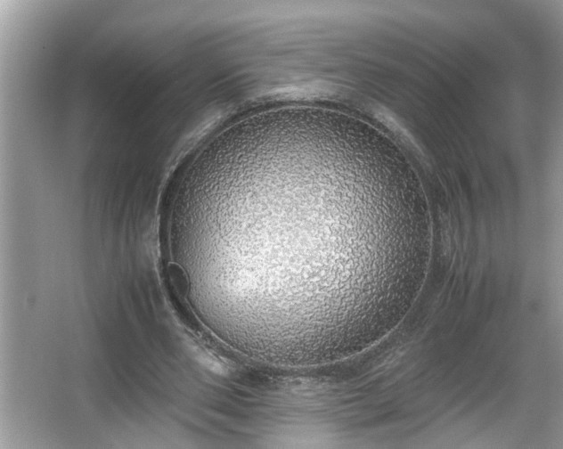 X0000067340486200604031003