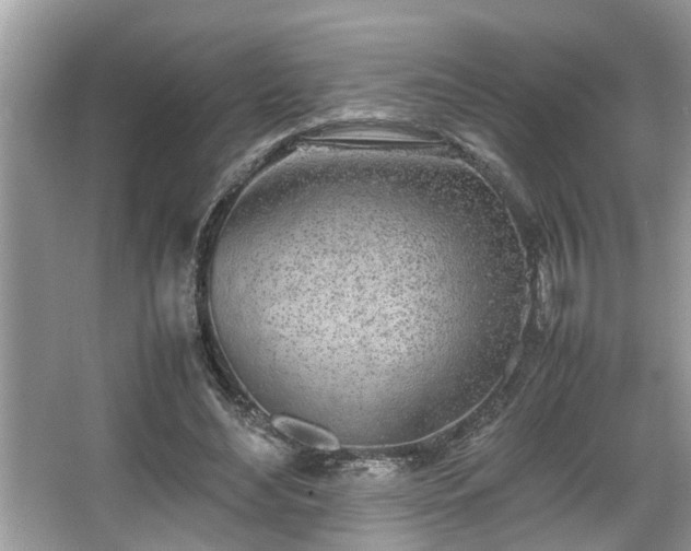 X0000067340492200604031003