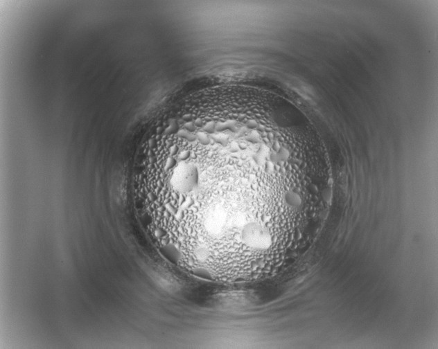 X0000067340499200604031003