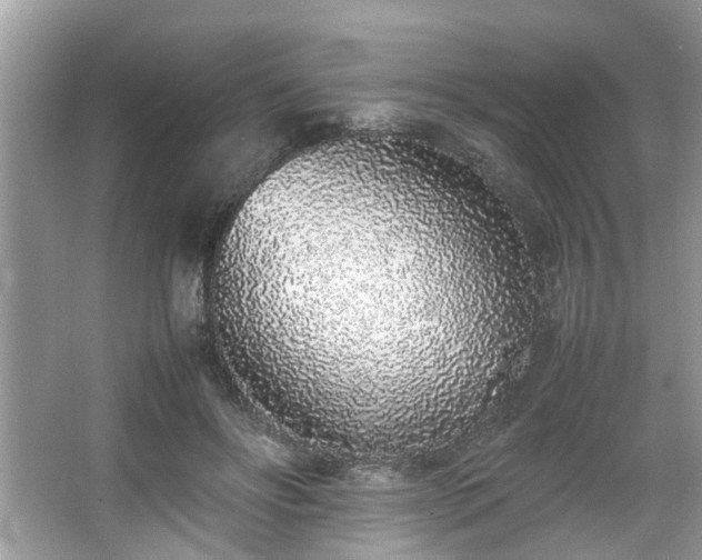 X0000067340502200604031003