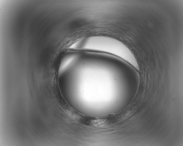 X0000067340511200604031002