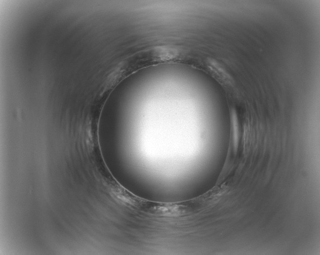 X0000067340524200604031002