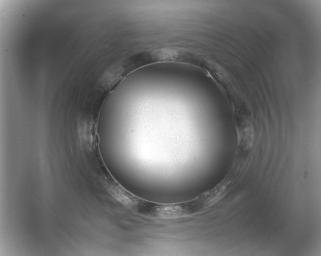 X0000067340525200604031002