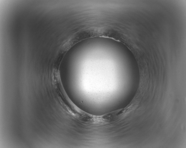 X0000067340528200604031002