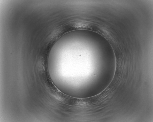 X0000067340547200604031002