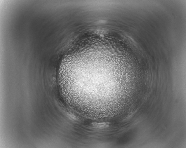 X0000067340553200604031002