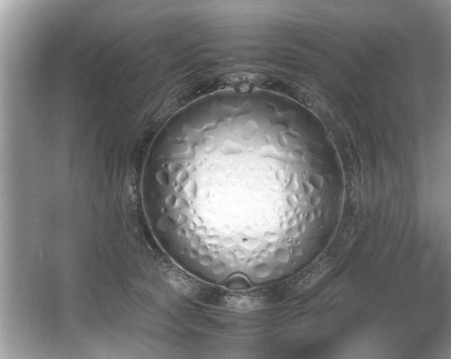 X0000067340561200604031002