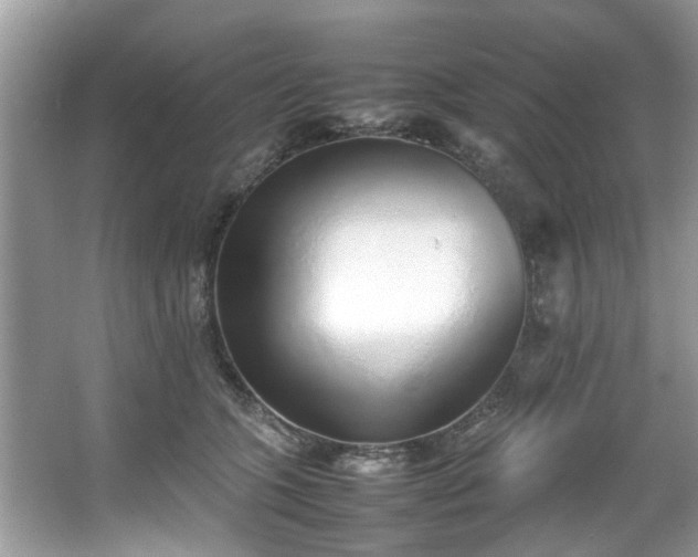 X0000067340563200604031002