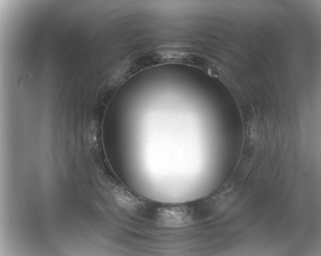 X0000067340567200604031002