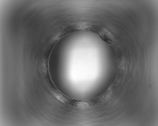 X0000067340572200604031002