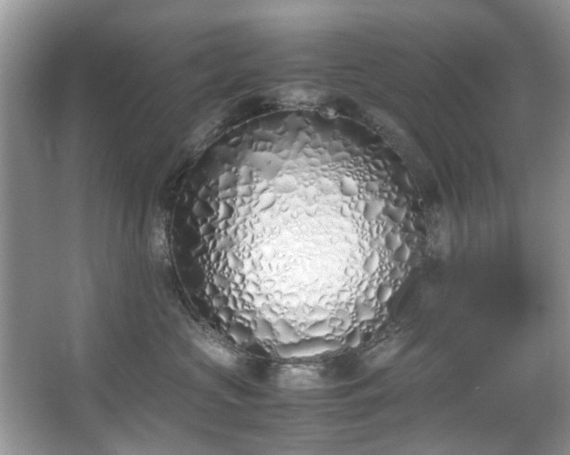 X0000067340573200604031002