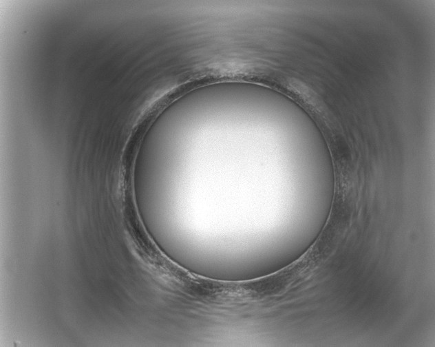 X0000067340583200604031001