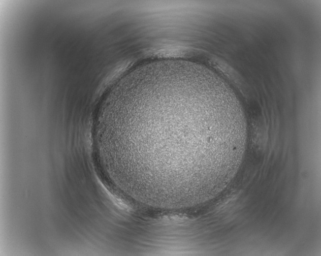 X0000067340586200604031001