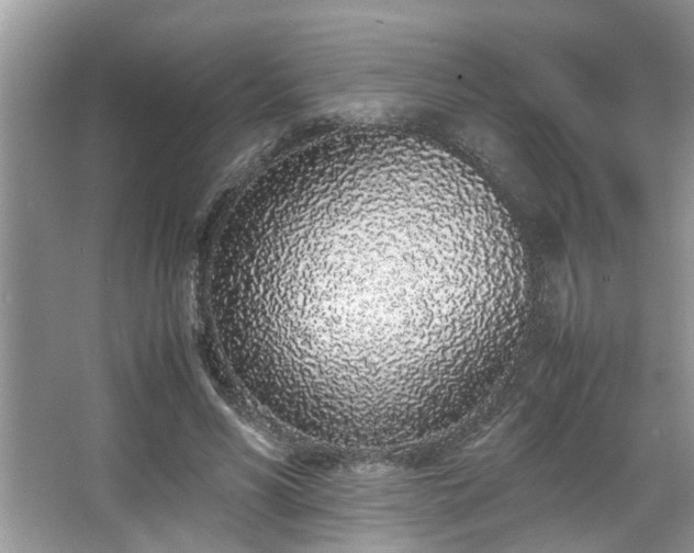 X0000067340590200604031001