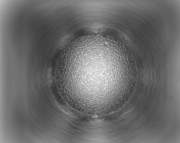 X0000067340594200604031001