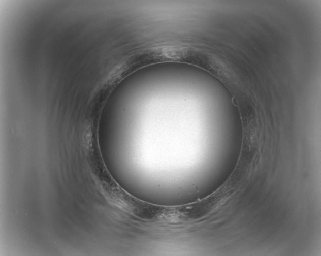 X0000067340595200604031001