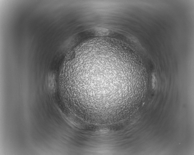 X0000067340598200604031001