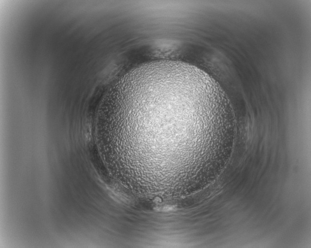 X0000067340602200604031001