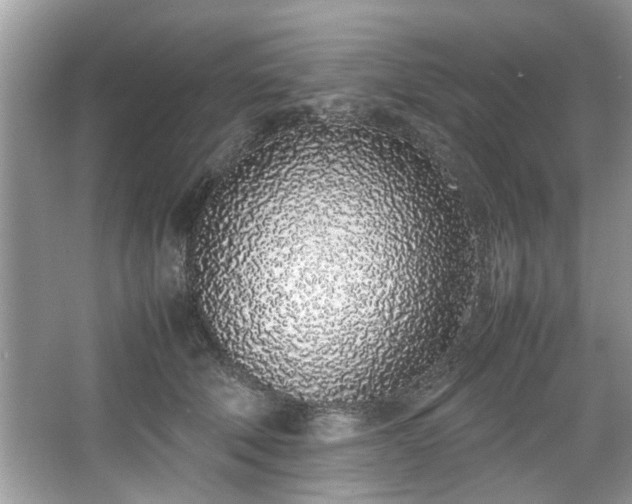 X0000067340610200604031001