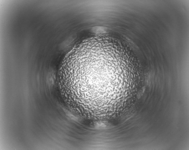 X0000067340618200604031001
