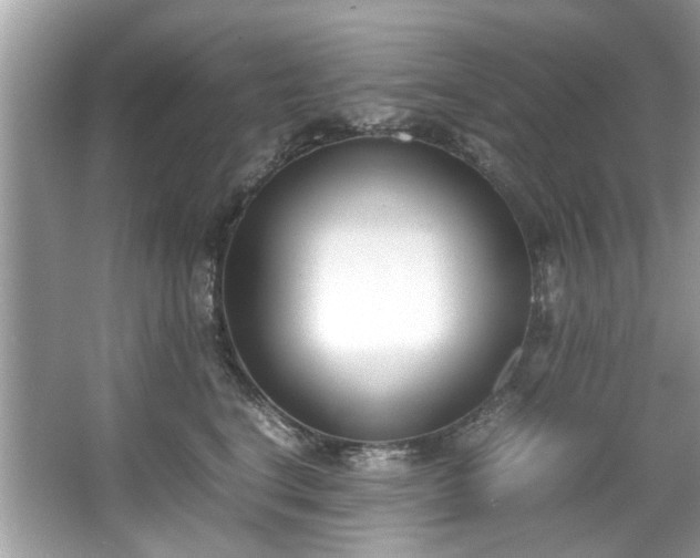 X0000067340664200604031000