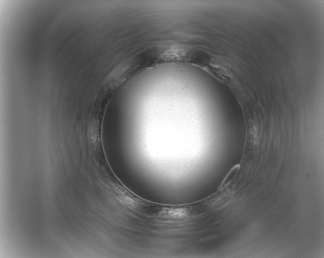 X0000067340665200604031000