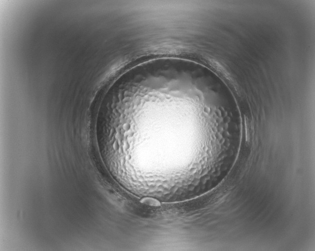 X0000067340675200604031000
