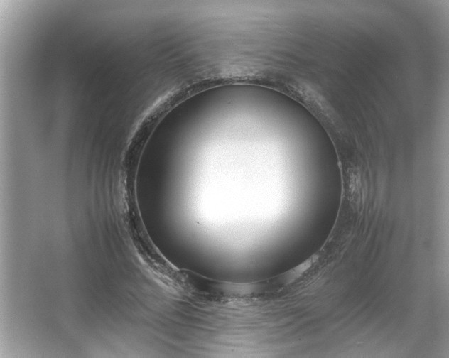 X0000067340684200604031000