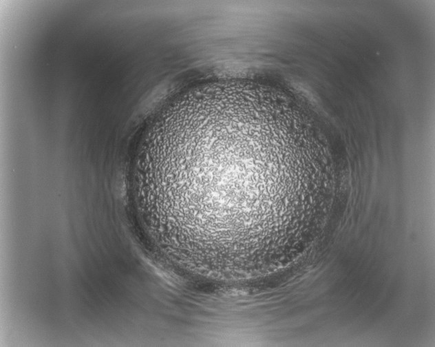 X0000067340687200604030959