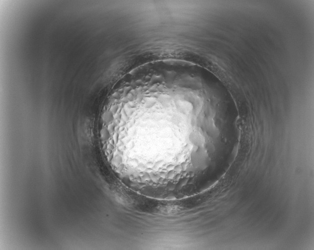 X0000067340695200604030959