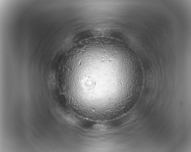 X0000067340699200604030959