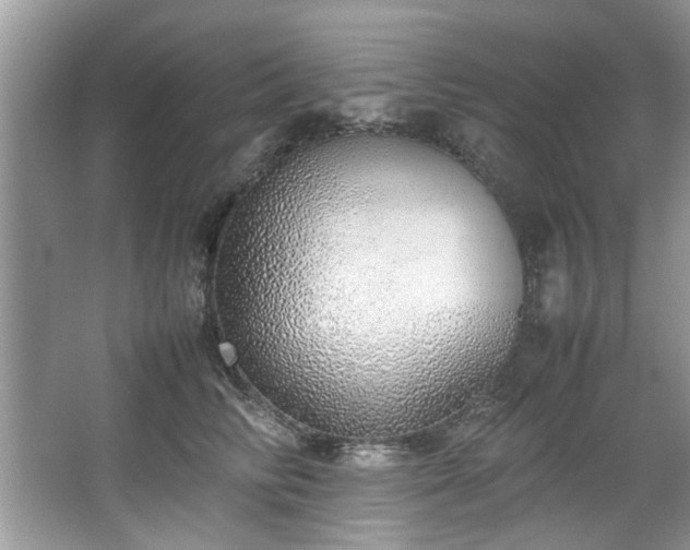 X0000067340710200604030959