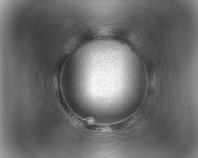 X0000067340715200604030959