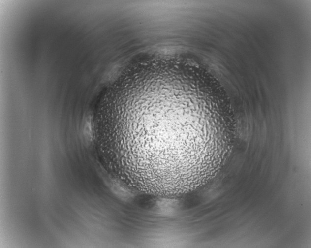 X0000067340718200604030959