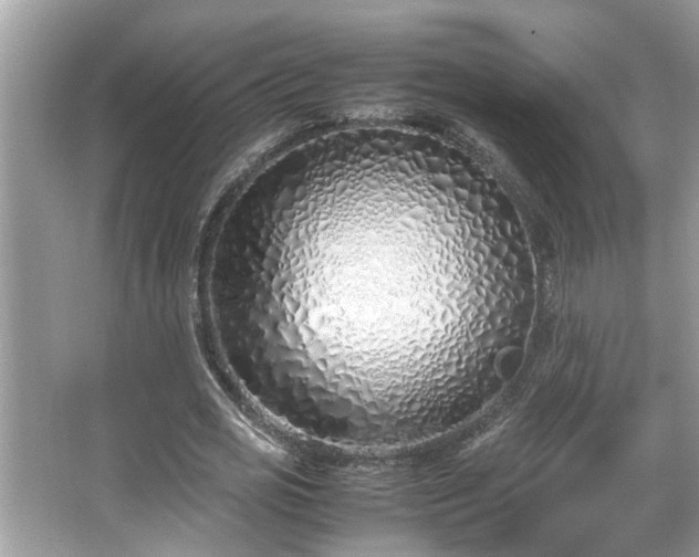 X0000067340725200604030958