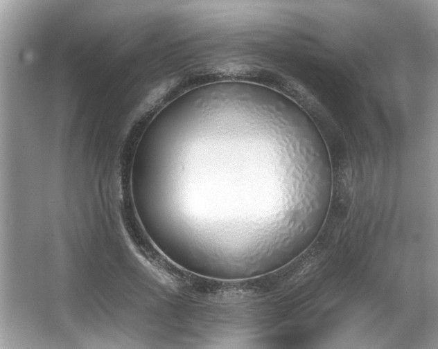 X0000067340734200604030958