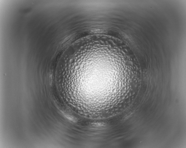 X0000067340741200604030958