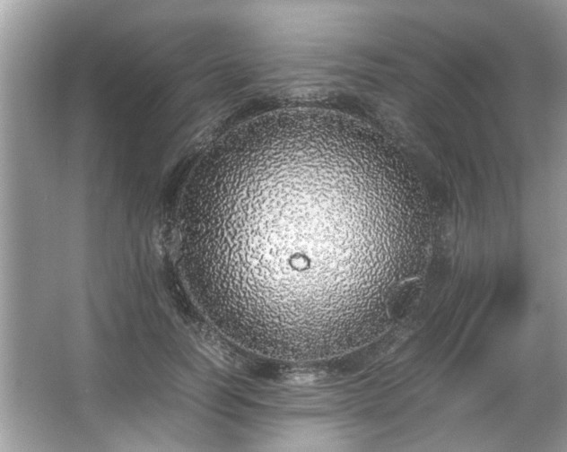 X0000067340746200604030959