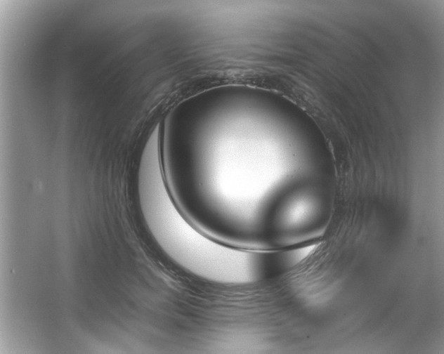 X0000067340750200604030959