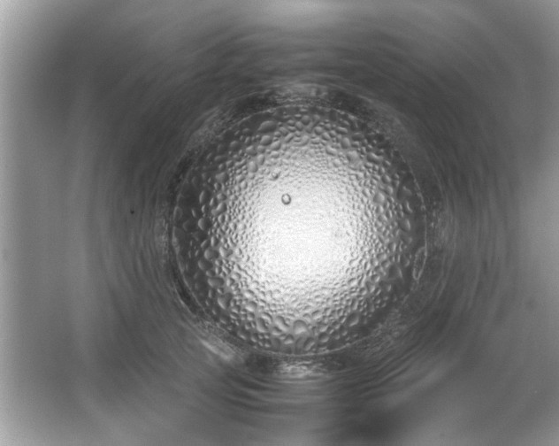 X0000067340753200604030959