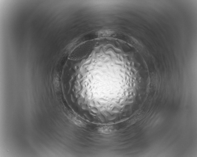 X0000067340761200604030959