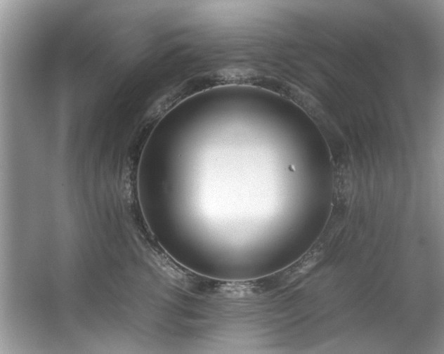X0000067340762200604030959