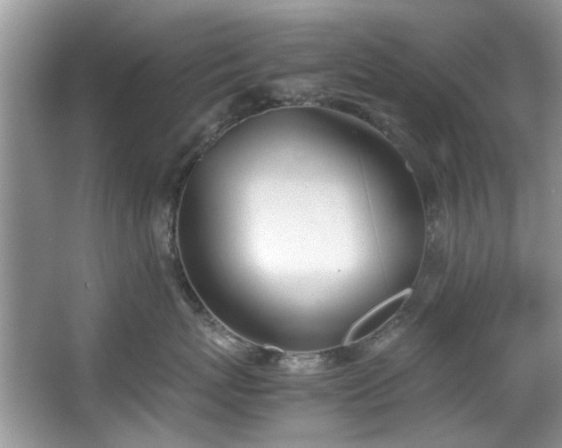 X0000067340767200604030959